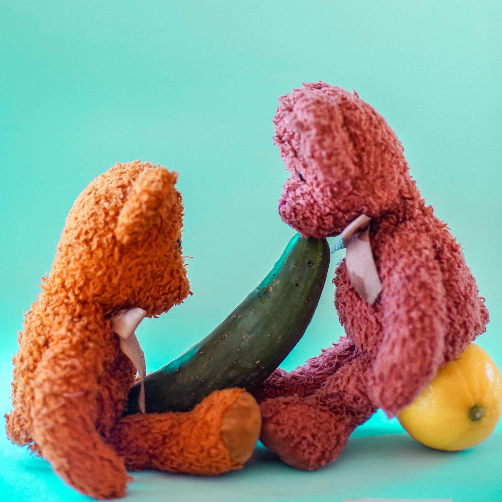 Sex on the First Date: Yes or No?